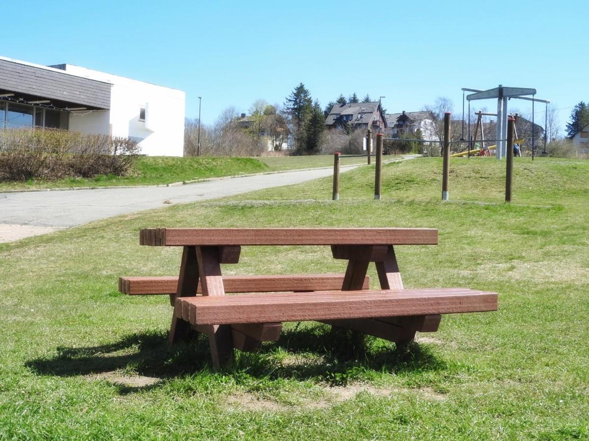 Appartement zum Kuckuck noch mal Hohegeiß Exterior foto