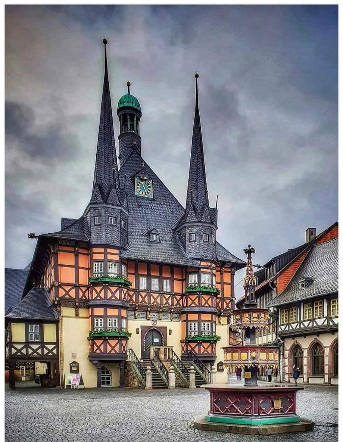 Appartement zum Kuckuck noch mal Hohegeiß Exterior foto
